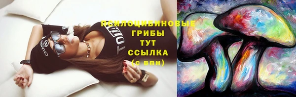 прущая мука Михайлов